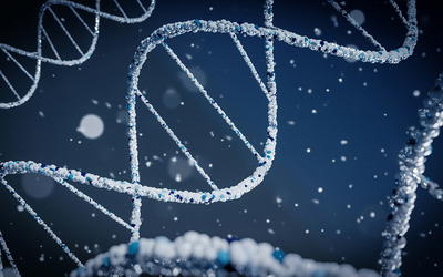 Beyond Chance: A Cryptographic Analysis of the Origins of DNA