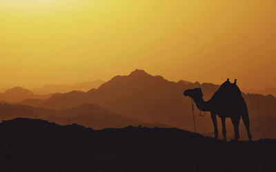A Long Sojourn of Israel Away from the Promised Land