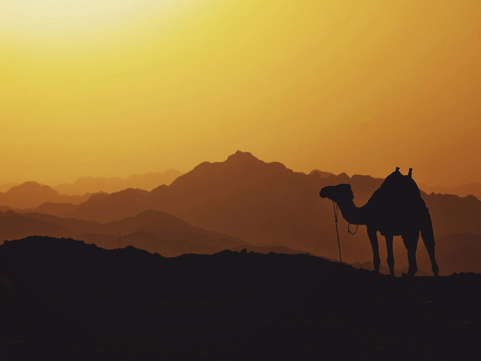 A Long Sojourn of Israel Away from the Promised Land