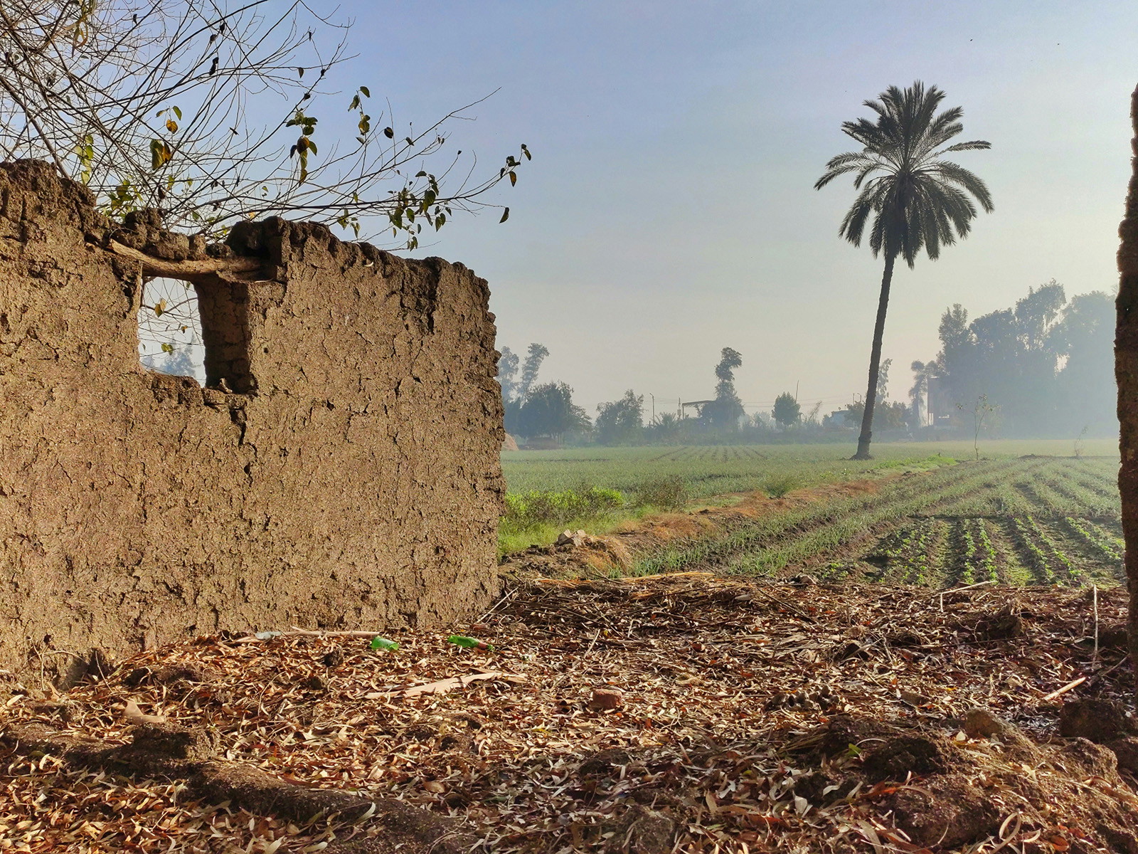 The Biblical Case for the Israelites’ Long Sojourn in Egypt