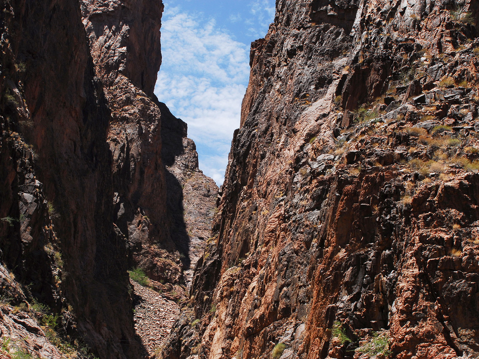 Radiohalos in the Grand Canyon Precambrian Crystalline Basement Rocks. Part 2. The Schists