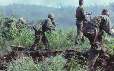 The Central Role of Darwinism in the Vietnam War